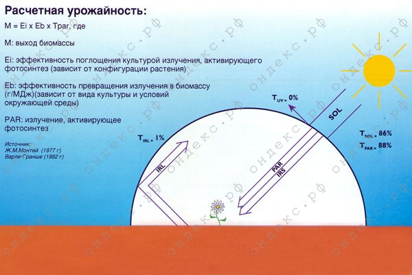 Расчетная урожайность